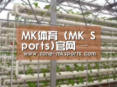 环境展示六