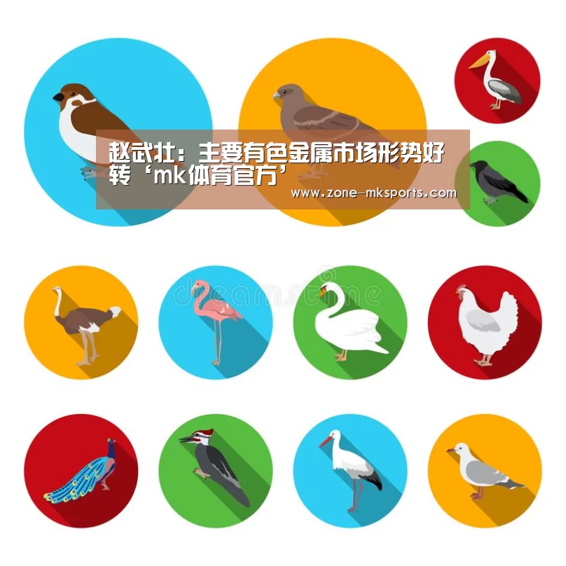 赵武壮:主要有色金属市场形势好转‘mk体育官方’(图1) mk体育