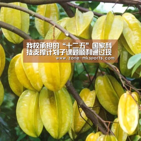 mk体育