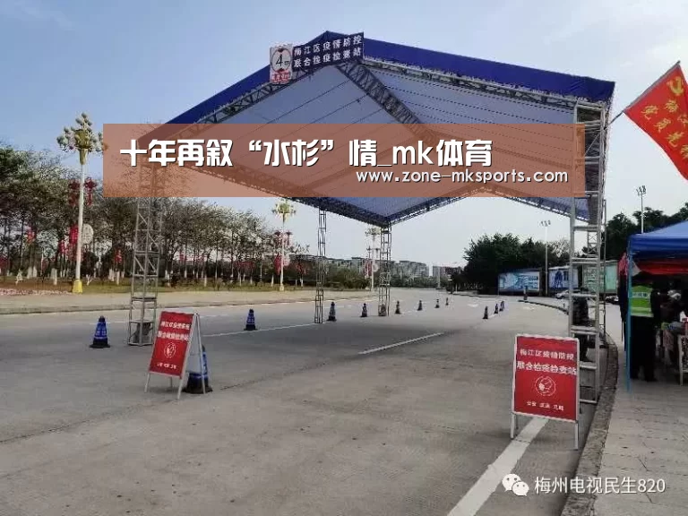 十年再叙“水杉”情_mk体育(图4) mk体育官方