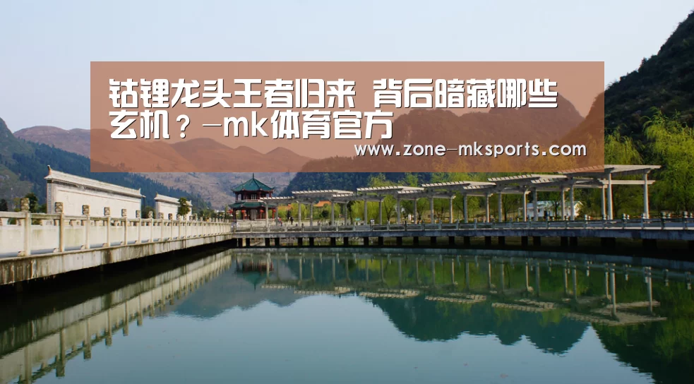 钴锂龙头王者归来 背后暗藏哪些玄机?-mk体育官方(图1) mk体育