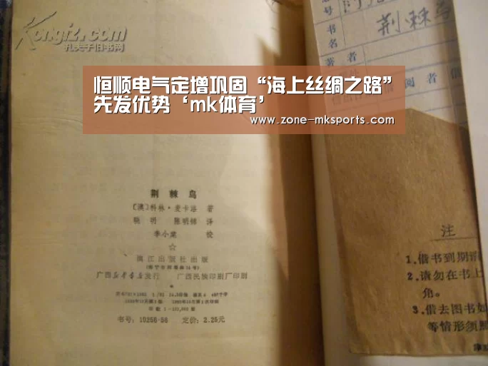 恒顺电气定增巩固“海上丝绸之路”先发优势‘mk体育’(图3) mk体育官方