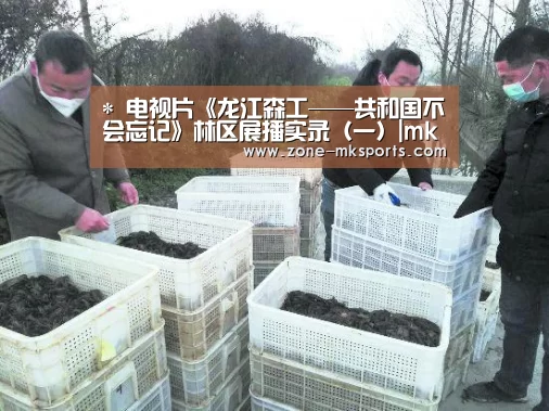 mk体育官方