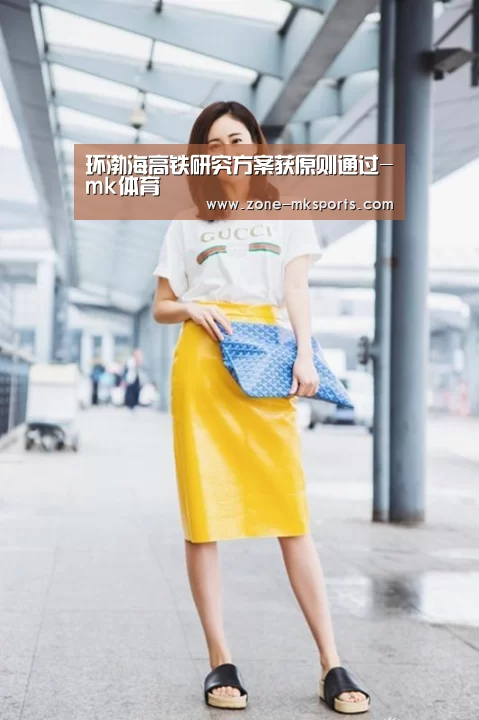 环渤海高铁研究方案获原则通过-mk体育(图1) mk体育