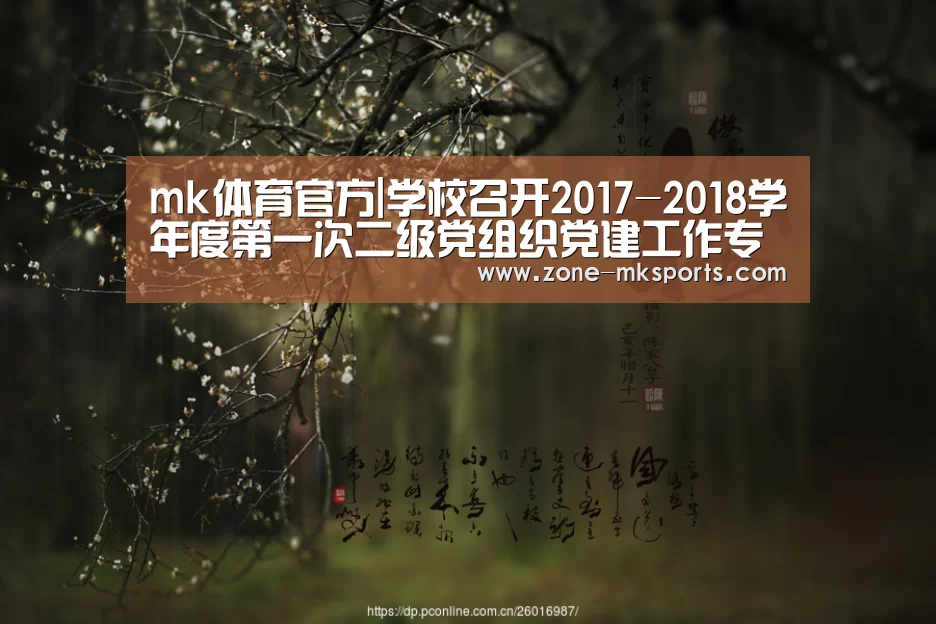 mk体育官方|学校召开2017-2018学年度第一次二级党组织党建工作专题汇报会(图2) mk体育