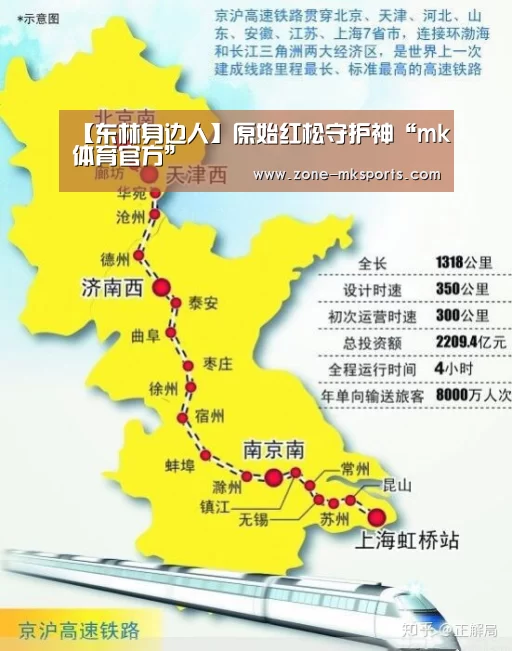 【东林身边人】原始红松守护神“mk体育官方”(图2) mk体育官方