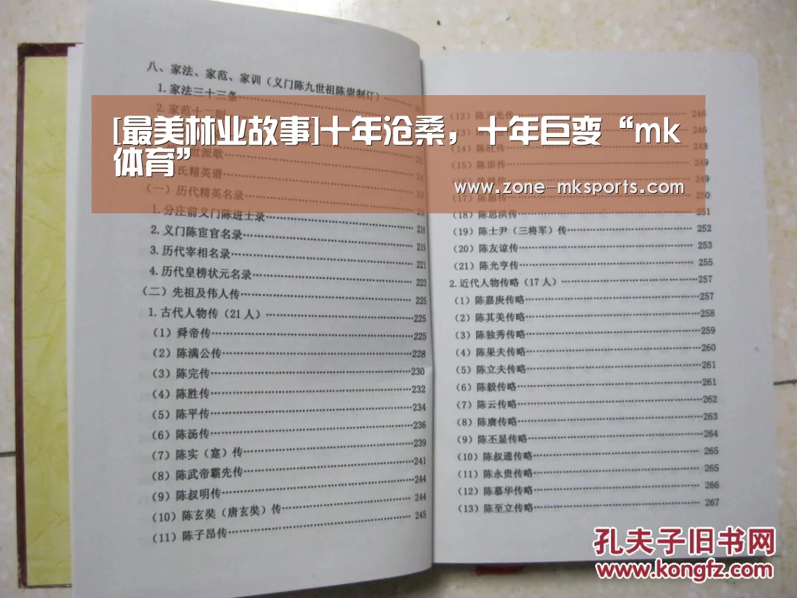 mk体育官方