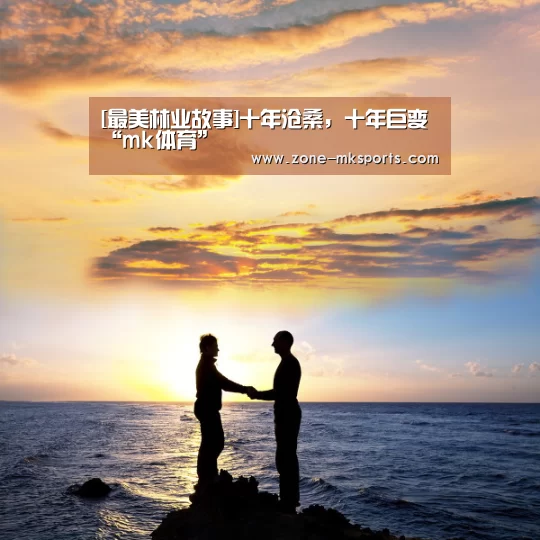 mk体育官方
