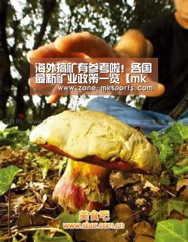 海外搞矿有参考啦!各国最新矿业政策一览【mk体育官方】(图3) mk体育