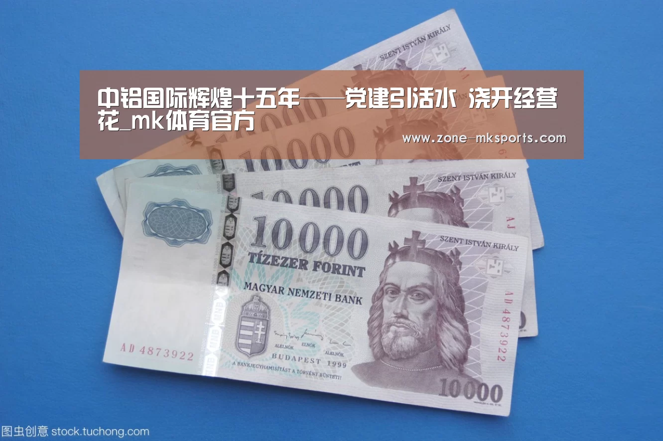 中铝国际辉煌十五年——党建引活水 浇开经营花_mk体育官方(图2) mk体育